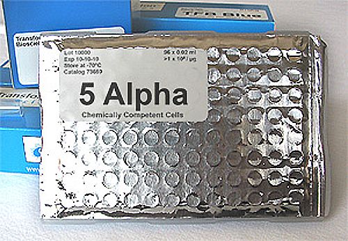 TFB 5 Alpha™ High efficiency Competent Cells - 96-Well (73650)
