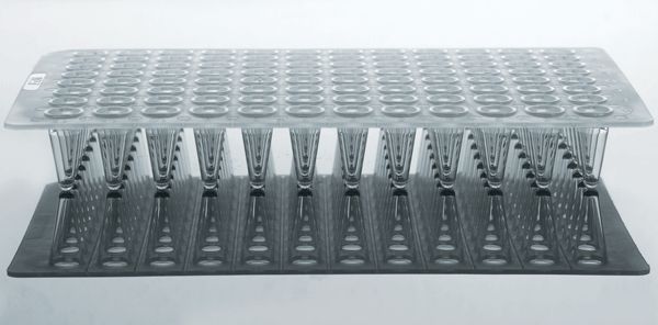 0.1ml 96 Well PCR Plate, No Skirt, Clear, H12 notch, 25/pk, (402101)