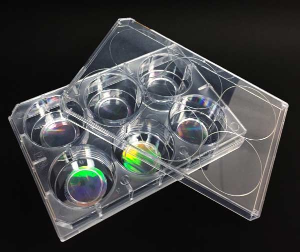 NanoSurface ANFS 6 Well Cell Culture Plate, ANFS nano surface, sterile, 1, 5 or 10 plates/pack