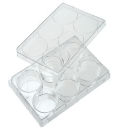 6 Well Tissue Culture Plate with Lid, Individual, Sterile, 100/CS, NSSV08