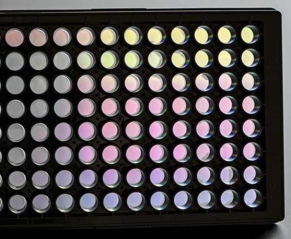 NanoSurface ANFS 96 Well Cell Culture Plate, ANFS nano surface, sterile, 1, 5 or 10 plates/pack