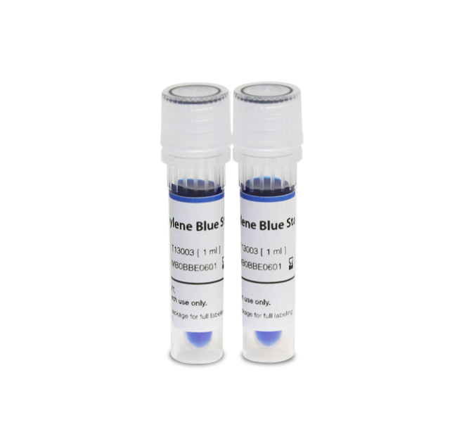 Methylene Blue Stain, 0.02%, 2x25.0ml (L13005)