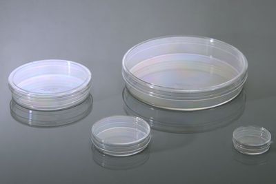 100mm Cell Culture Dish, with Gripping Ring, TC, Sterile, 20/bag, 300/cs, (704201) (NSTF90081)