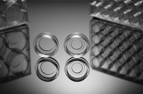 Glass Bottom (#1.5 Cover Glass) 35mm Cell Culture Dish, Φ 20mm Glass Cover Glass, TC, sterile, 10/Pack, 200/cs, (801001)