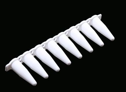 0.2ml PCR 8-strip Tubes, White, 125/pk, (403012)