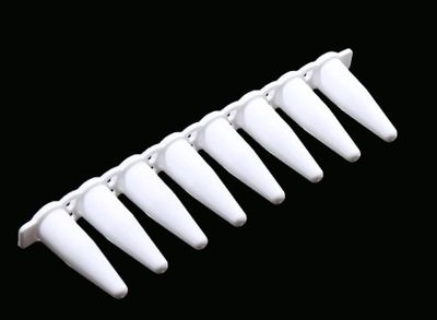Nest 0.2ml PCR 8-strip Tubes, White, 1250/cs, (403012) Nest 0.2ml PCR 8-strip Tubes, White, 1250/cs, (403012)