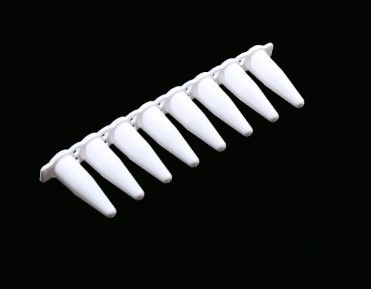 0.1ml PCR 8-strip Tubes, White, Non-sterile, 125/pk, 1250/cs (403112)