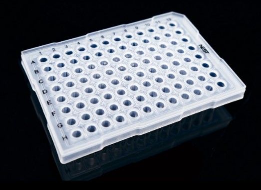0.2ml 96 Well PCR Plate, Semi Skirt, Clear, A12 notch, 25/pk, 100/cs, (402301)