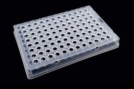 0.1ml 96 Well PCR Plate, Full Skirt, Clear, H1 notch, 25/pk (402501)
