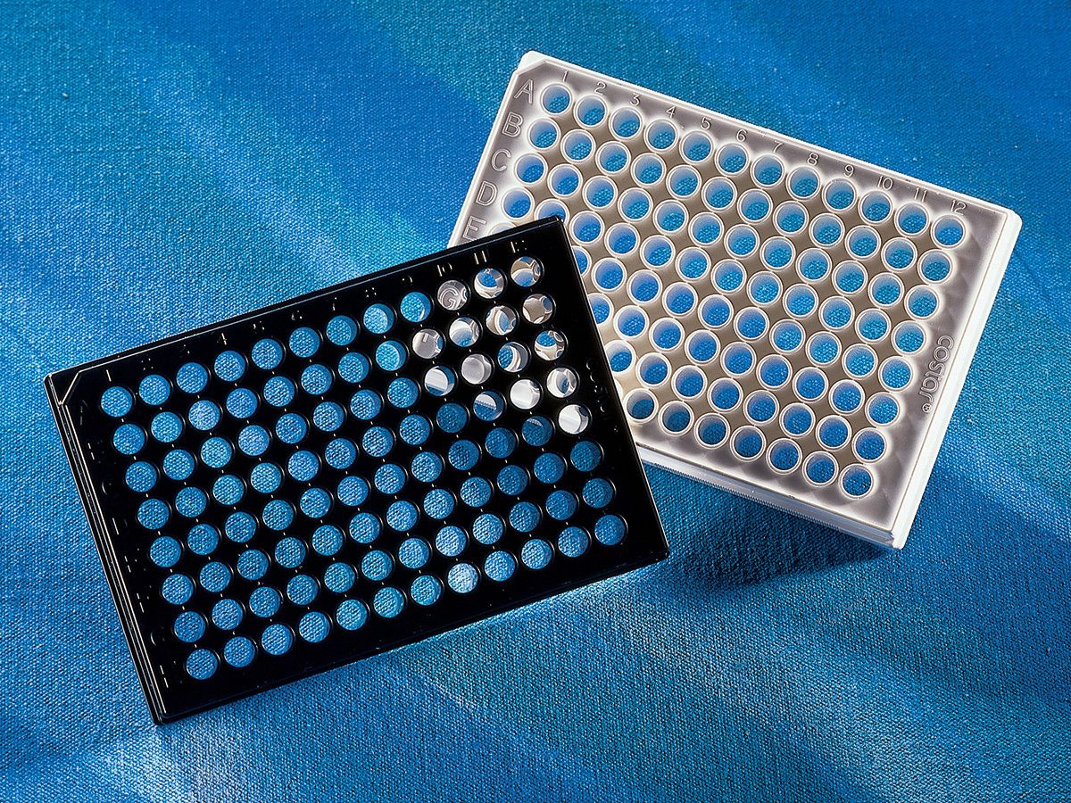 Black 96-Well Plate with Clear Bottom, Flat, TC, with Lid, Sterile, Individually Wrapped, 48/Case, DBJ-CN3603B