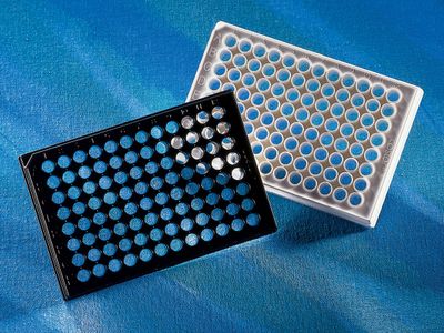 Black 96-Well Plate with Clear Bottom, Flat, TC, with Lid, Sterile, Individually Wrapped, 48/Case, DBJ-CN3603B