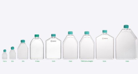 T225 (225cm2) Cell & Tissue Culture Flasks, Angled Neck, TC Surface-treated, w/vent cap, Sterilized, 5/pkg, 25/cs, TCF012225