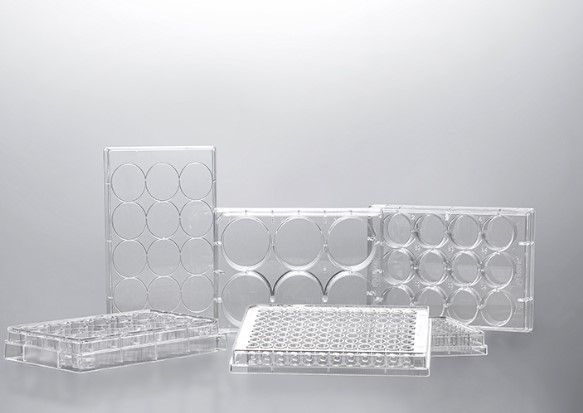 48 well Tissue Culture Plates, Surface-treated, Sterilized, 1/pkg, 50/cs, TCP011048, INTP0048
