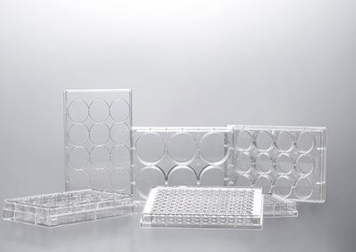 96 well Tissue Culture Plates, TC Surface-treated, Sterilized, 1/pkg, 50/cs, INTP0096 96 well Tissue Culture Plates, TC Surface-treated, Sterilized, 1/pkg, 50/cs, INTP0096