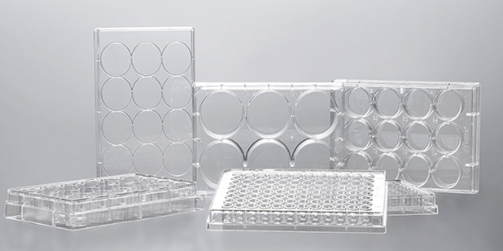 12 well Tissue Culture Plates, Surface TC treated, Sterilized, 1/pkg, 50/cs, INTP0012