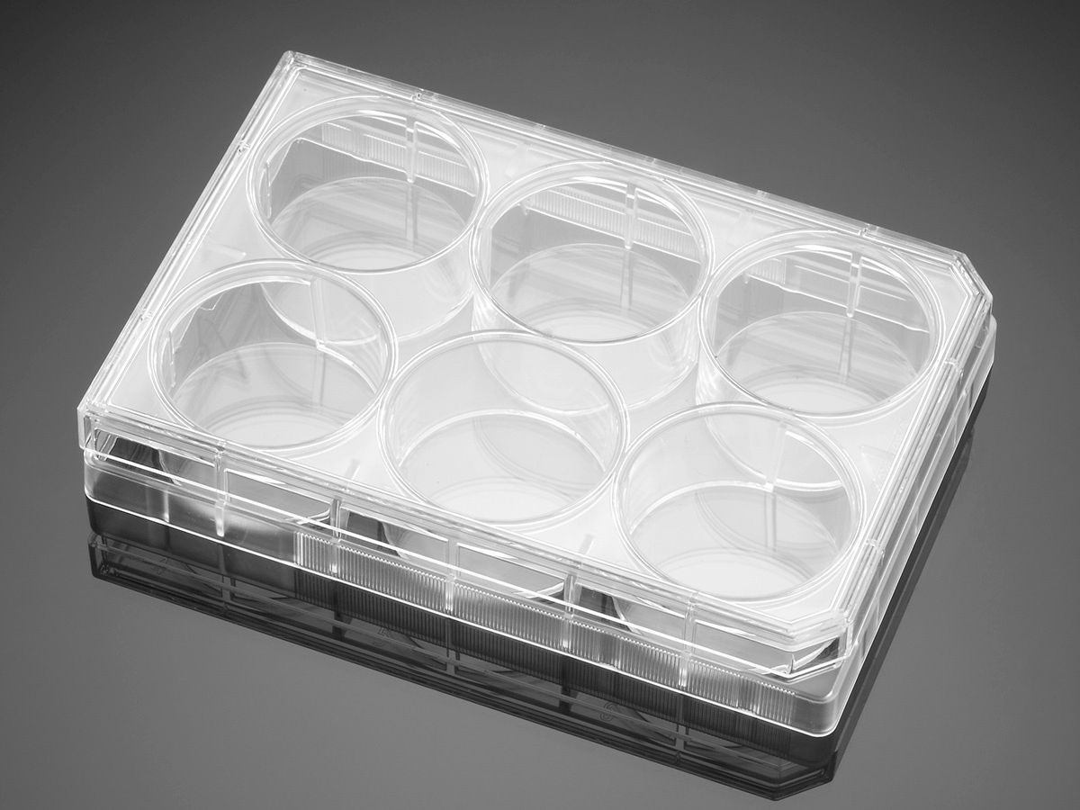 Falcon® 6-well Clear Flat Bottom TC-treated Cell Culture Plate, with Lid, Individually Wrapped, Sterile, 50/Case, 353046