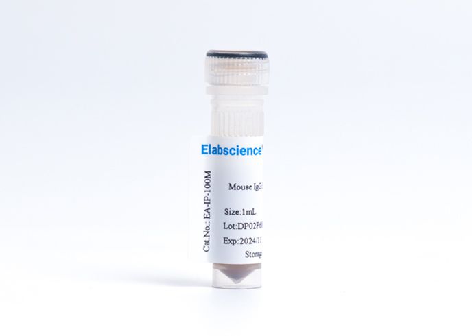 Mouse IgG Immuno-magnetic Beads Conjugate, 1ml, EA-IP-100M