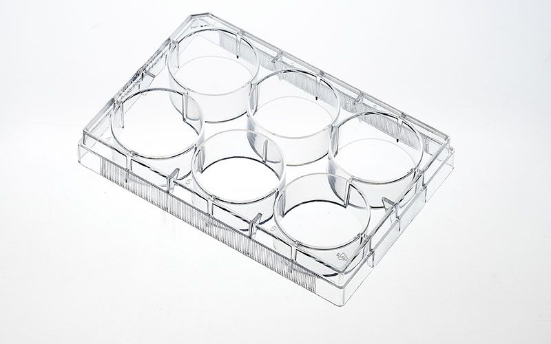 6-well Tissue Culture (TC) Plates, TC Surface-treated, Flat Bottom, Sterilized (1/pkg, 50/Case), INTP0006