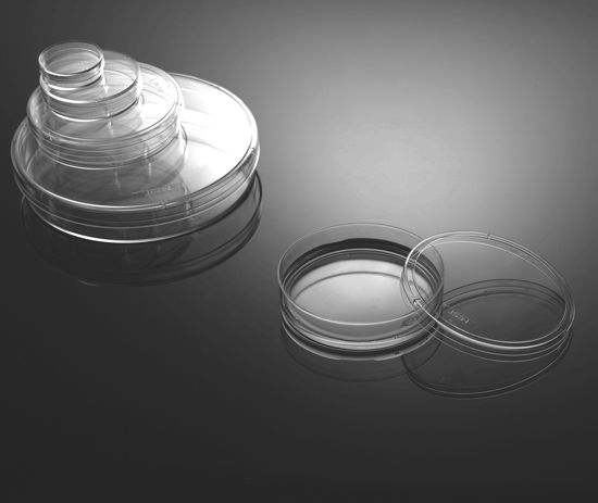 150mm TC dishes, Standard, TC Treated, Sterilized 5/pkg, 100/cs, INTD0150