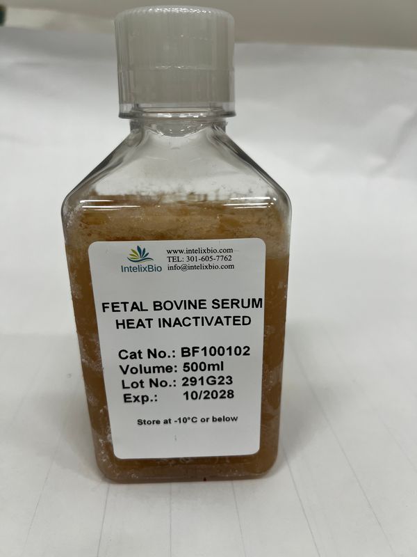 Fetal Bovine Serum (FBS), Heat Inactivated, Premium Quality, USDA Approved Origin, 500ml, BF100102 (DBJ-FBS500HI)