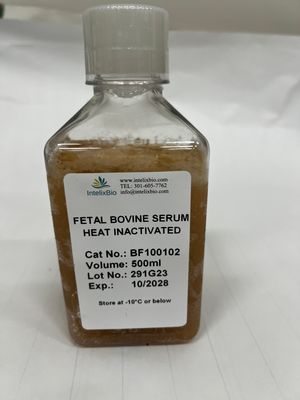Fetal Bovine Serum (FBS), Heat Inactivated, Premium Quality, USDA Approved Origin, 500ml, BF100102 (DBJ-FBS500HI)