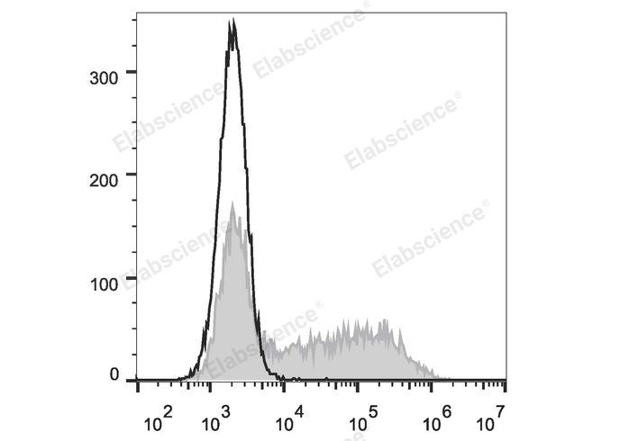 PE Rat Anti-Mouse IFN-γ Antibody [XMG1.2], 100ug