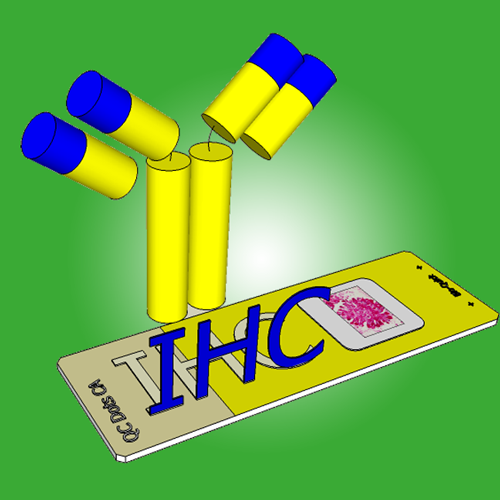 QC Dots Cancer Array (CA) Control Slides, Standard Pack of 50 (QC CA-010)