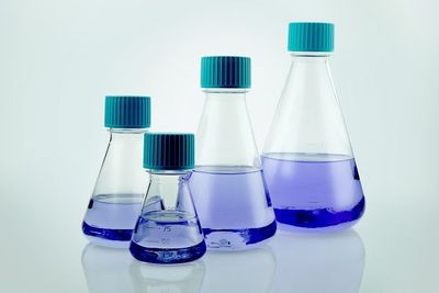 125ml PETG Erlenmeyer Flask, Non-treated, Vent Cap, Flat Bottom, Sterile, 1/pk, 24/cs, INEF0125PEV