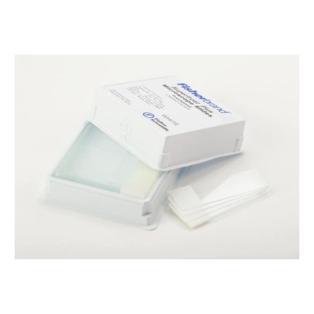 Plus Charged Slides, White Glass, Yellow Color Print, 1440/Case