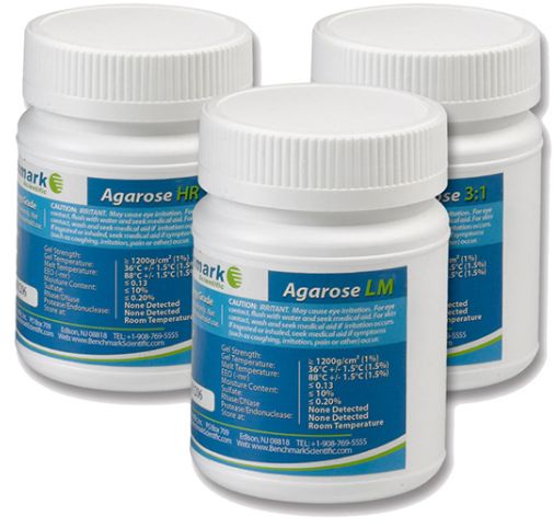 A1801-31, Benchmark Agarose 3:1, 100g, BMKC80004