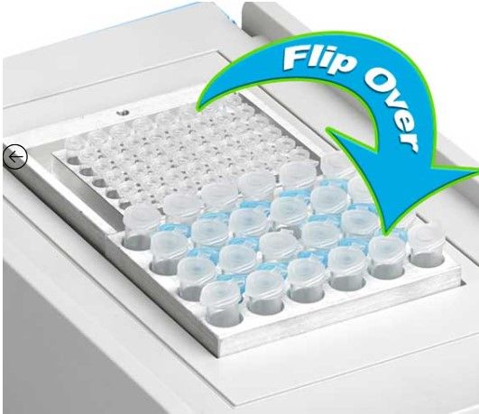 BSH5001-1B-E, myBlock l™- digital dry bath with 1 Quick-Flip blocks (BSWCMB) for tubes (0.2 to 2.0ml, PCR strips and PCR plates 230V, BMKE20048