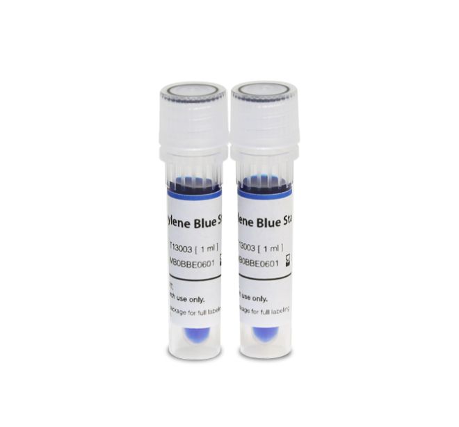 Methylene Blue Stain, 0.02%, 2x1.0ml (L13004)