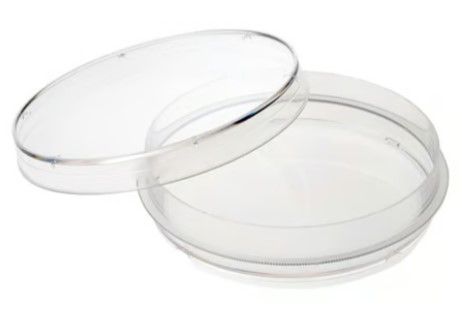 90 x 15 mm Petri Dish, with Safety Lock, Sterile, 20/pk, 500/cs (752101)