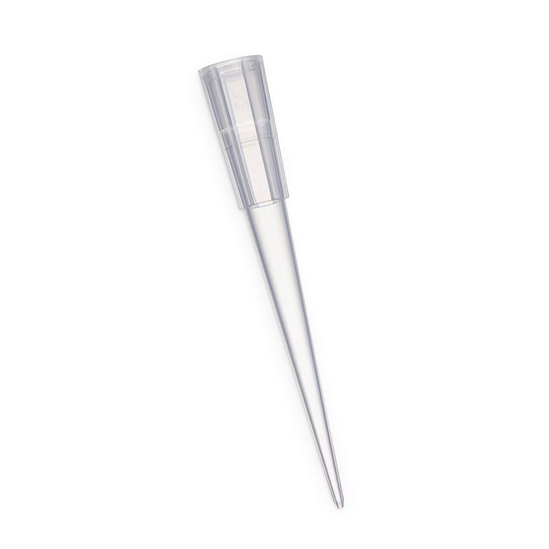 200 µl (1-200 µl) MultiFit Pipette tips, Natural, Polypropylene, Low Binding, Sterile, Racked Tips, 960/Pack, 4800/Case, 10520 200 µl (1-200 µl) MultiFit Pipette tips, Natural, Polypropylene, Low Binding, Sterile, Racked Tips, 960/Pack, 4800/Case, 10520