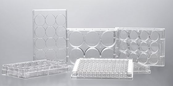 12 well Tissue Culture Plates, Surface TC treated, Sterilized, 1/pkg, 50/cs, INTP0012
