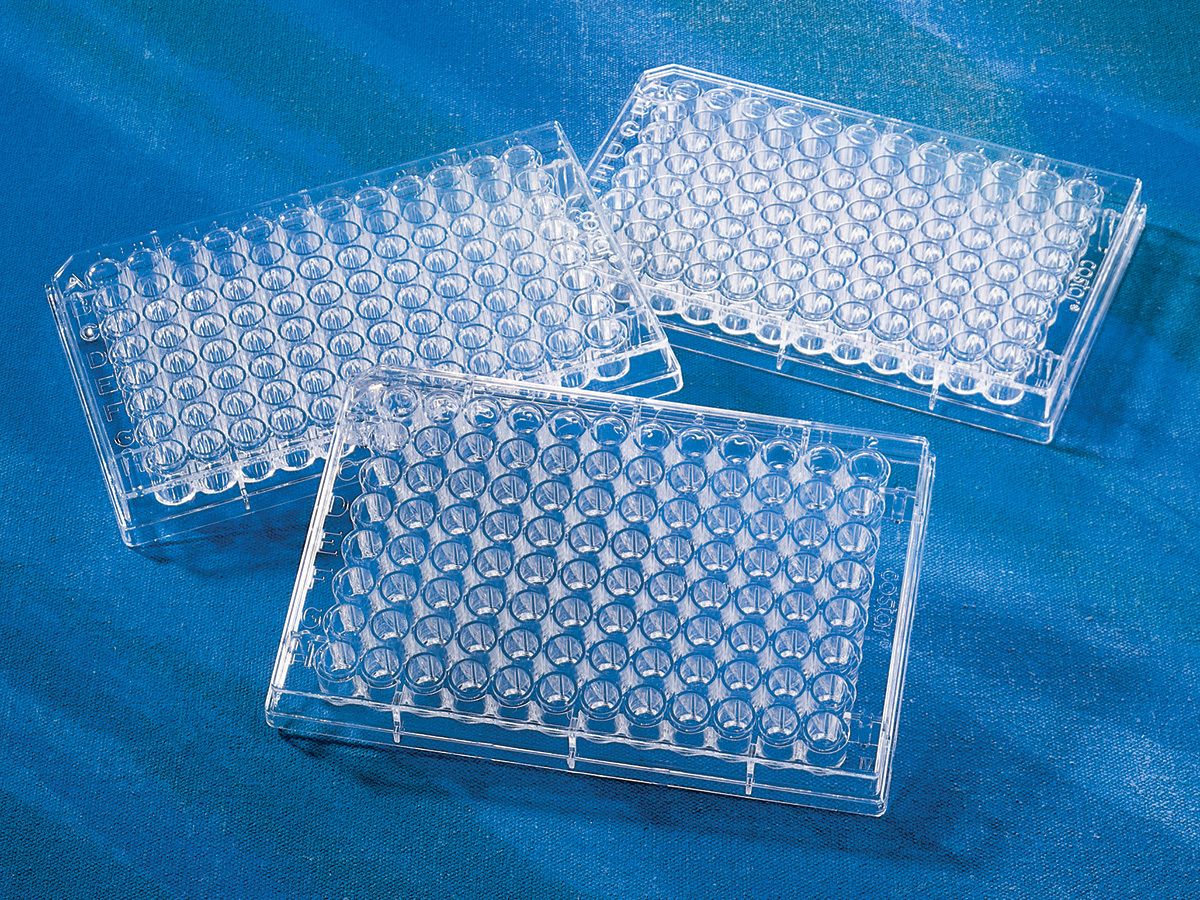 96-well Clear Flat Bottom Polystyrene TC-treated Microplates, Individually Wrapped, with Lid, Sterile, 50/Case, CN3596