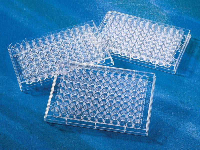 96-well Clear Flat Bottom Polystyrene TC-treated Microplates, Individually Wrapped, with Lid, Sterile, 50/Case, CN3596