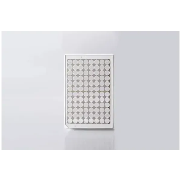 96 Well Cell Culture Plate, white frame with clear PS bottom, Flat bottom,  TC Treated, Sterile, 1/pack, 30/cs, INTP0096WBCB