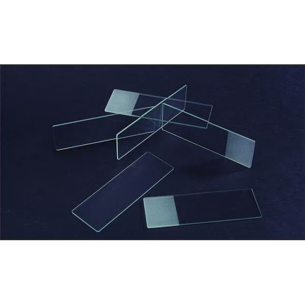 Microscope Slides, Single Frosted, Enhanced, 3x1