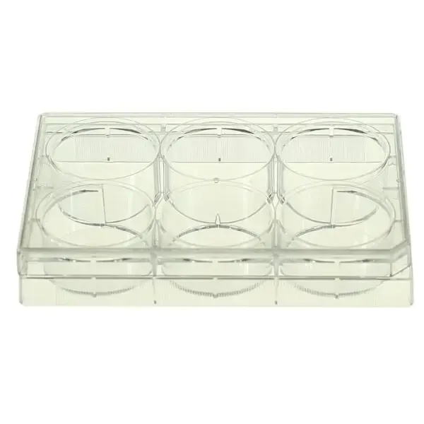 6 Well Low Evap EDGE Plate, Flat Bottom, TC, Sterile, 1/pk, 50/cs, INEP0006FB