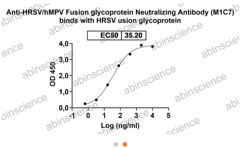 InVivoMAb Anti-RSV/MPV Fusion glycoprotein Neutralizing Antibody (M1C7) (VK421110-50UG)