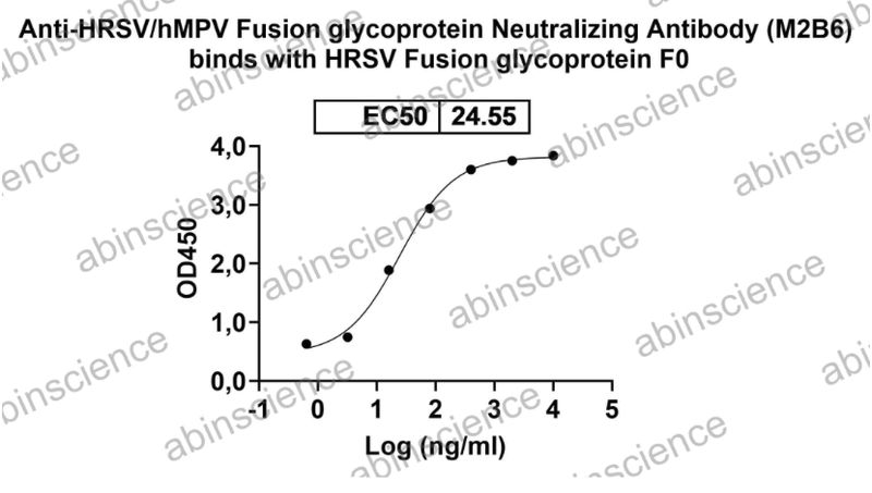 InVivoMAb Anti-RSV/MPV Fusion glycoprotein Neutralizing Antibody (M2B6) (VK421090-1MG) InVivoMAb Anti-RSV/MPV Fusion glycoprotein Neutralizing Antibody (M2B6) (VK421090-1MG)