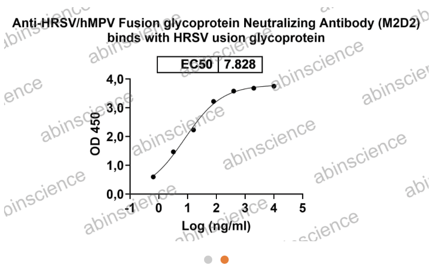 InVivoMAb Anti-RSV/MPV Fusion glycoprotein Neutralizing Antibody (M2D2) (VK421100-100UG)