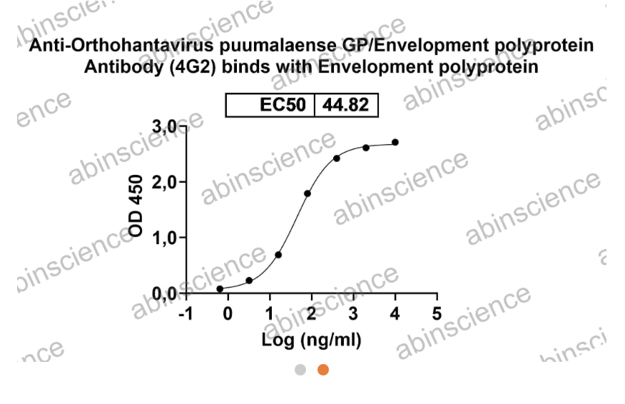 AbinScience InVivoMAb Anti-Orthohantavirus puumalaense GP/Envelopment polyprotein Antibody (4G2) (VK646010-50UG)