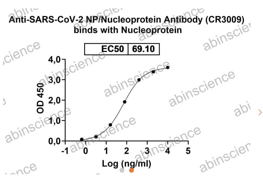 AbinScience InVivoMAb Anti-SARS-CoV-2 NP/Nucleoprotein Antibody (CR3009) (VK805010-1MG)