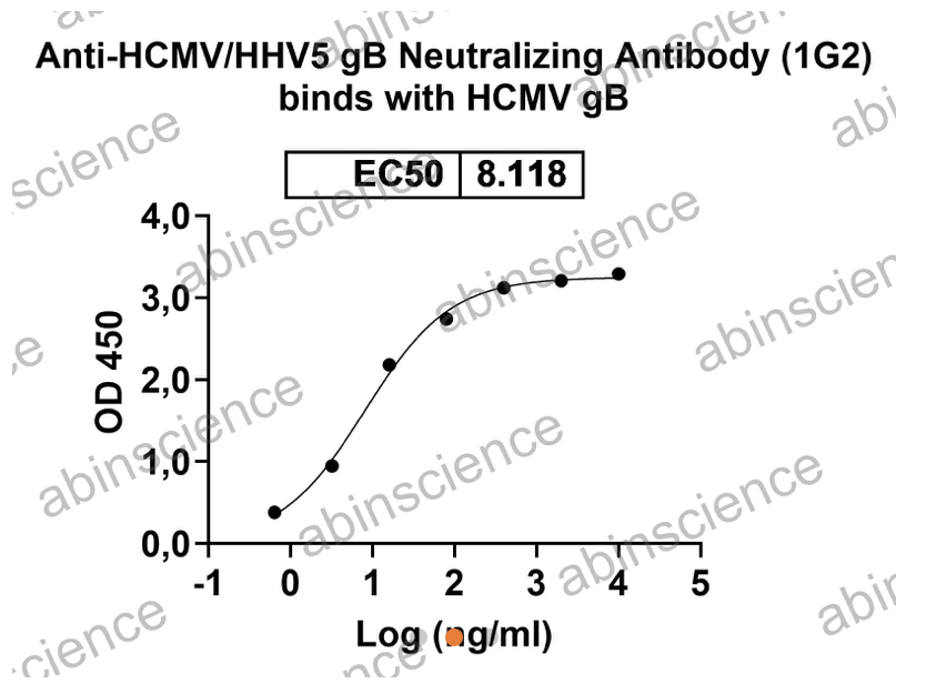 AbinScience InVivoMAb Anti-HCMV/HHV-5 gB Neutralizing Antibody (1G2) (VK665030-50UG)
