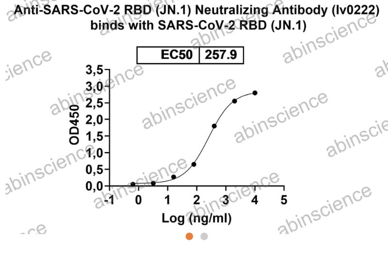 AbinScience InVivoMAb Anti-SARS-CoV-2 RBD (JN.1) Neutralizing Antibody (Iv0222) (VK565120-50UG)