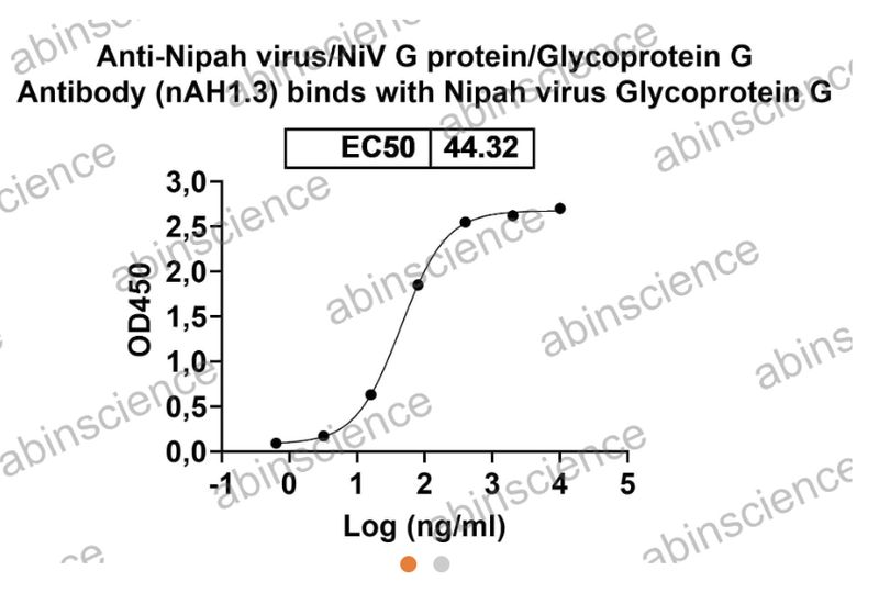 AbinScience InVivoMAb Anti-Nipah virus/NiV Glycoprotein G Antibody (nAH1.3) (VK631010-1MG) AbinScience InVivoMAb Anti-Nipah virus/NiV Glycoprotein G Antibody (nAH1.3) (VK631010-1MG)
