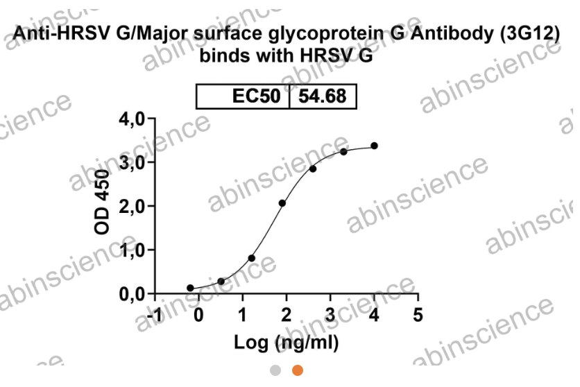 AbinScience InVivoMAb Anti-RSV G/Major surface glycoprotein G Antibody (3G12) (VK562030-50UG)