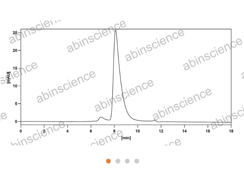 AbinScience InVivoMAb Anti-SARS-CoV-2 S2 Protein Antibody (CC40.8) (VK749010-50UG) AbinScience InVivoMAb Anti-SARS-CoV-2 S2 Protein Antibody (CC40.8) (VK749010-50UG)